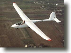 world class glider